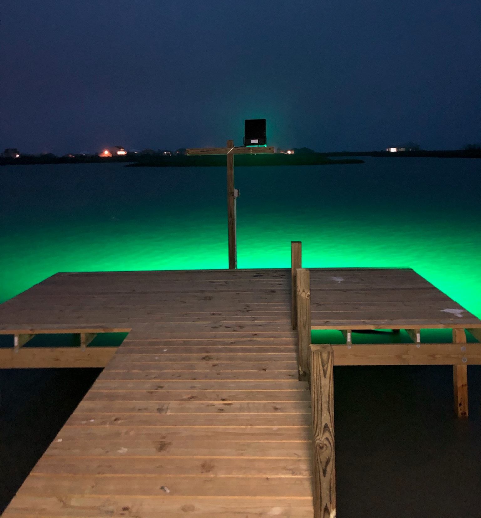 DockPro 16,000 - 60-degree Green Dock Light