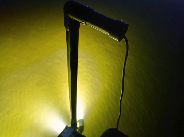 AlumiGlo FlounderPro 8550 Flounder Gigging Light 2