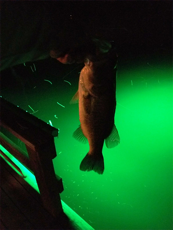 alumiglo dockpro 5000 1 h2b
