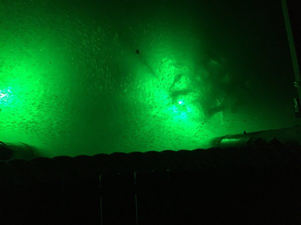 alumiglo dockpro 5000 dock light 1