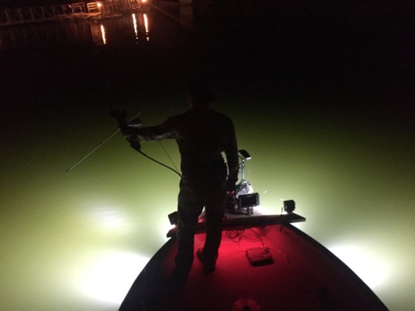 alumiglo flounderpro 2850 6 h2