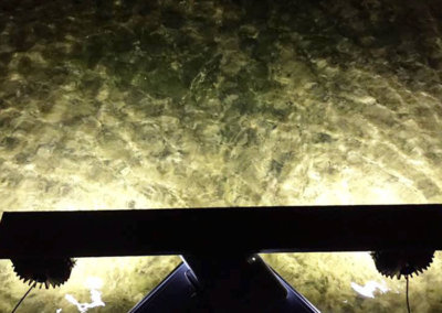 alumiglo flounderpro 5000 1 h2