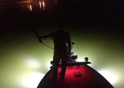 gallery bowfishing lights 6