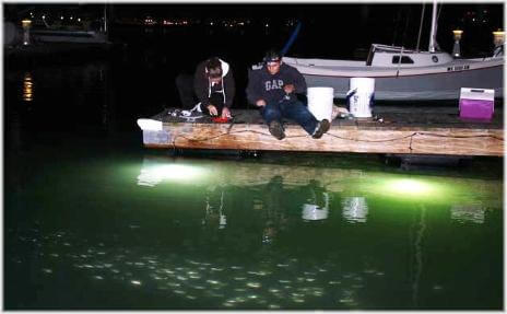 Underwater LED Fishing Lights by AlumiGlo