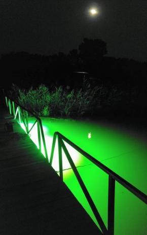 Hot Sales Green Color Fishing Lights 60W 3000W Underwater Fishing