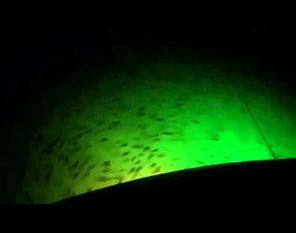 Underwater LED Fishing Lights by AlumiGlo