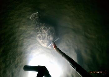 ABSOLUTE BEST **FLOUNDER GIGGING/BOW FISHING LIGHTS** I HAVE EVER USED! **5  STAR LED** 