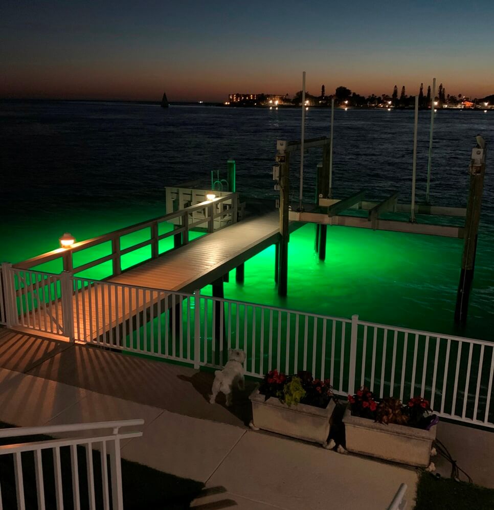 DockPro 16,000 - 60-degree Green Dock Light