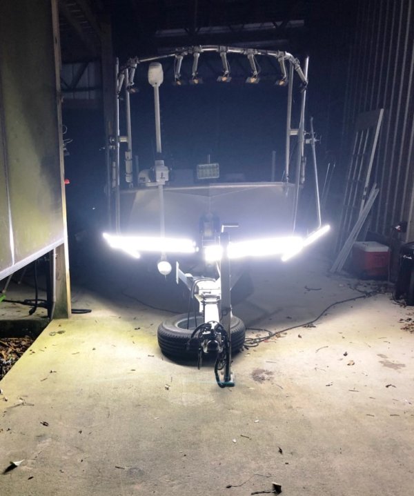 Tracy Reynolds Gigging Rig3jpg