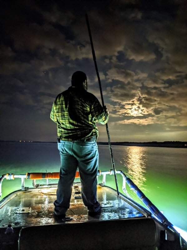 Flounder 1