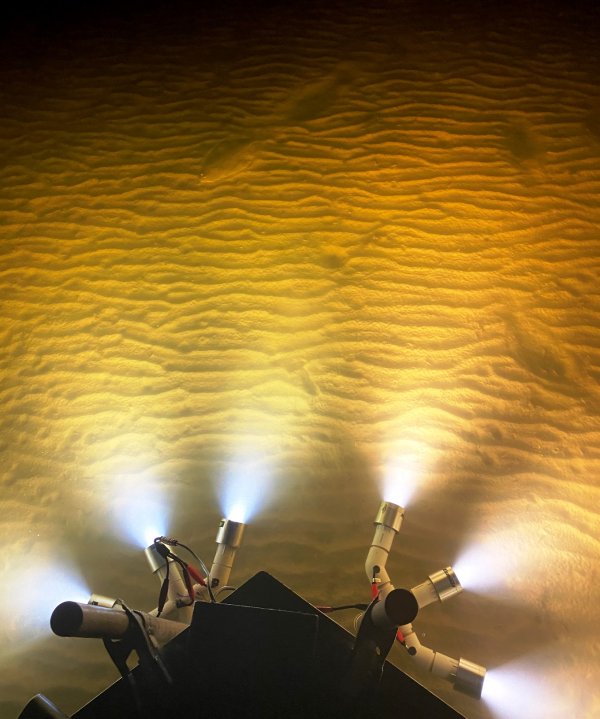 AlumiGlo FlounderPro2850 Gigging Light