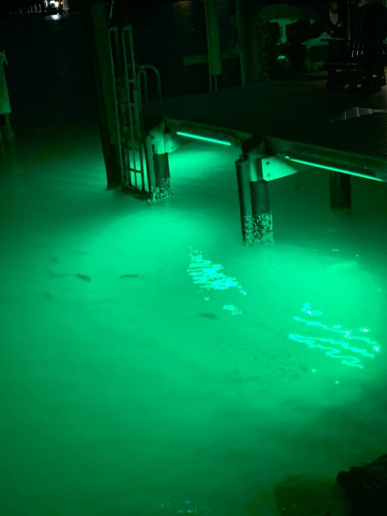 50W 4000 LUMEN LED UNDERWATER DROP LIGHT BOAT DOCK PIER FISHING GREEN BLUE WHITE 