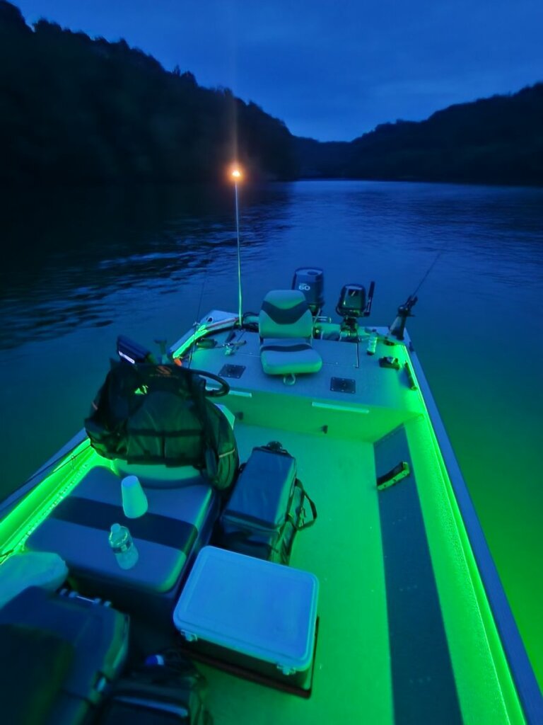 Proven LED Fishing Lights  Reel BriteBite Jr Underwater Fishing light