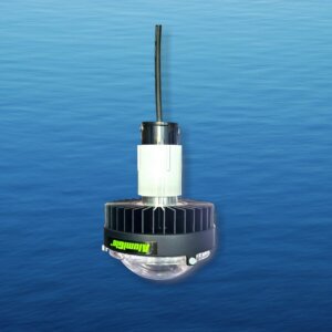 GTX Drop 1000x1000 ai